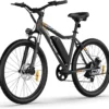 5TH WHEEL Mate Electric Bike