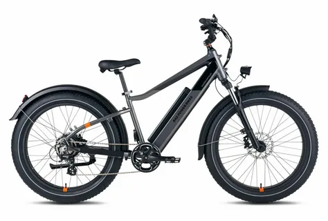 RadRover 6 Plus