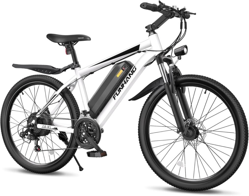 Funhang Electric Bike