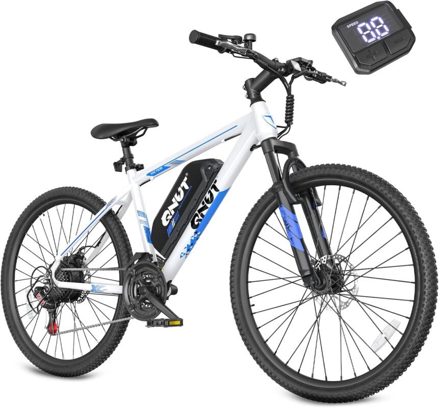 QNUT Electric Bike