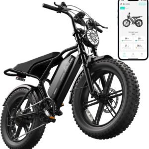 TST Electric Bike