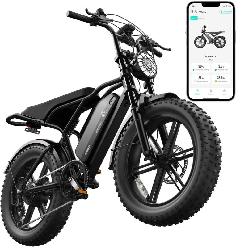 TST Electric Bike