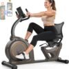 Niceday Recumbent Exercise Bike