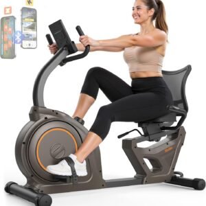 Niceday Recumbent Exercise Bike