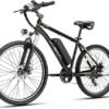Jasion EB5 Electric Bike